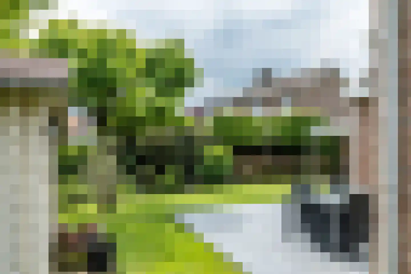 Staatsland 4 Ransdaal thumbnail 24