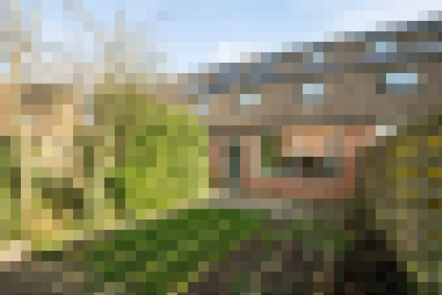 Staatsmanlaan 13 Zwolle thumbnail 37