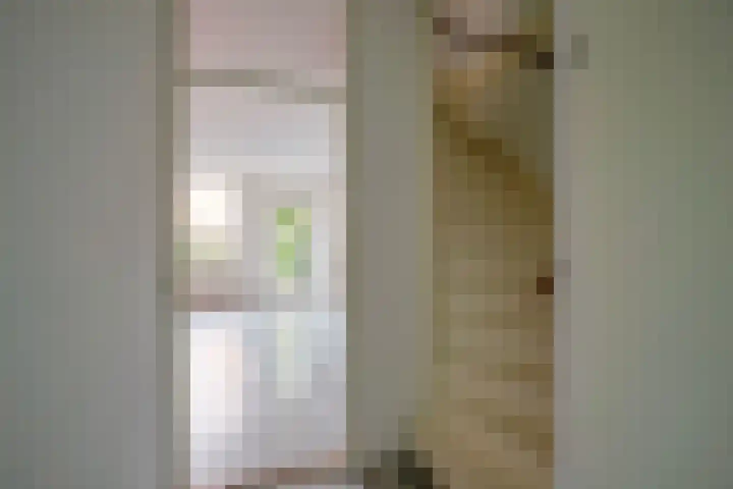 Staatsmanlaan 13 Zwolle thumbnail 9