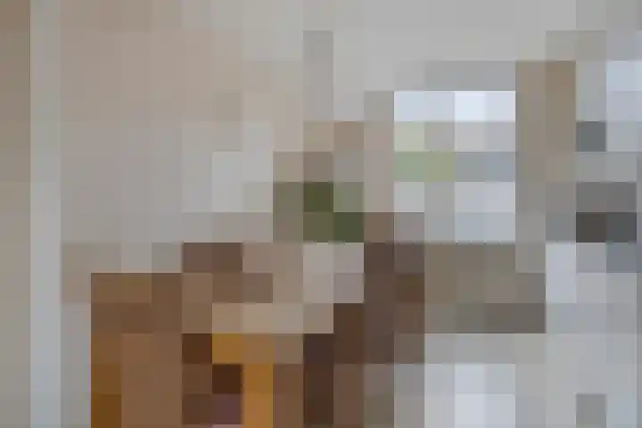 Staatsmanlaan 16 Zwolle thumbnail 12