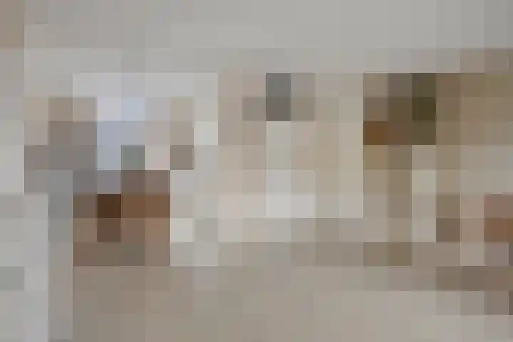 Staatsmanlaan 16 Zwolle thumbnail 13