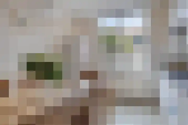 Staatsmanlaan 16 Zwolle thumbnail 14