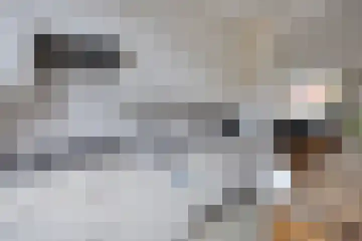 Staatsmanlaan 16 Zwolle thumbnail 15