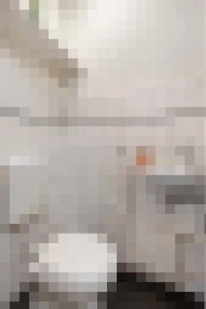 Staatsmanlaan 16 Zwolle thumbnail 17