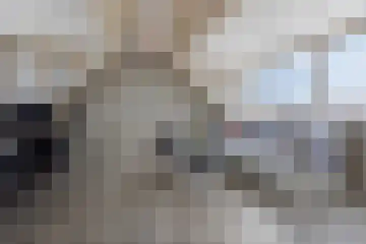 Staatsmanlaan 16 Zwolle thumbnail 27