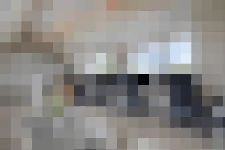 Staatsmanlaan 16 Zwolle thumbnail 29
