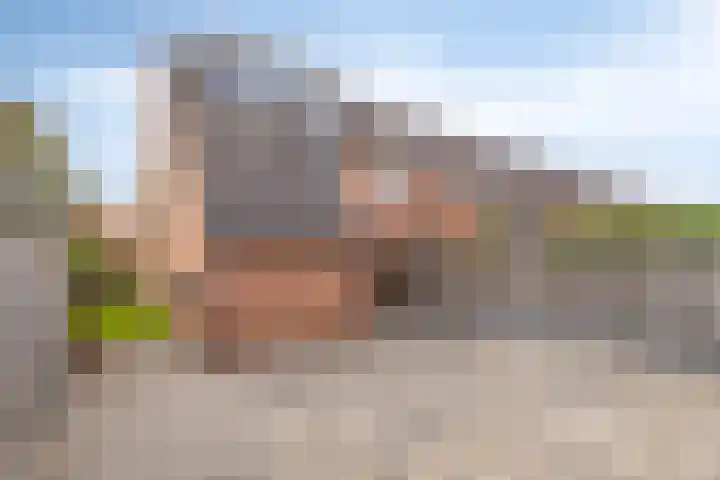 Staatsmanlaan 16 Zwolle thumbnail 34