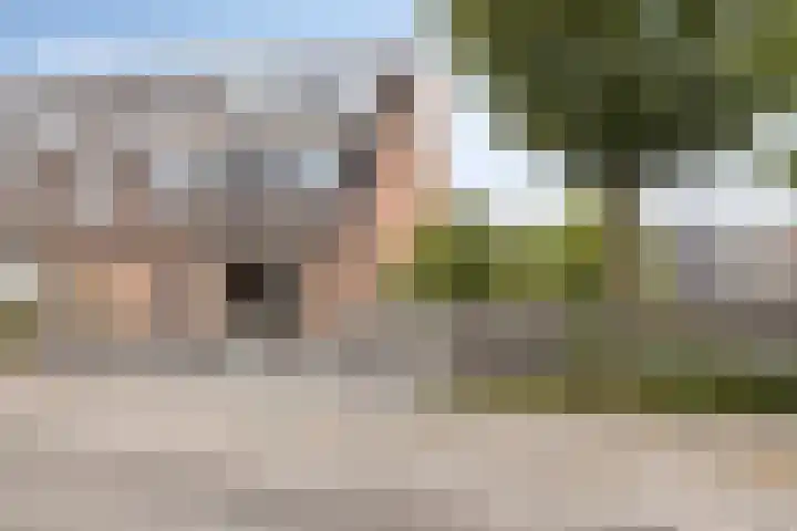 Staatsmanlaan 16 Zwolle thumbnail 40