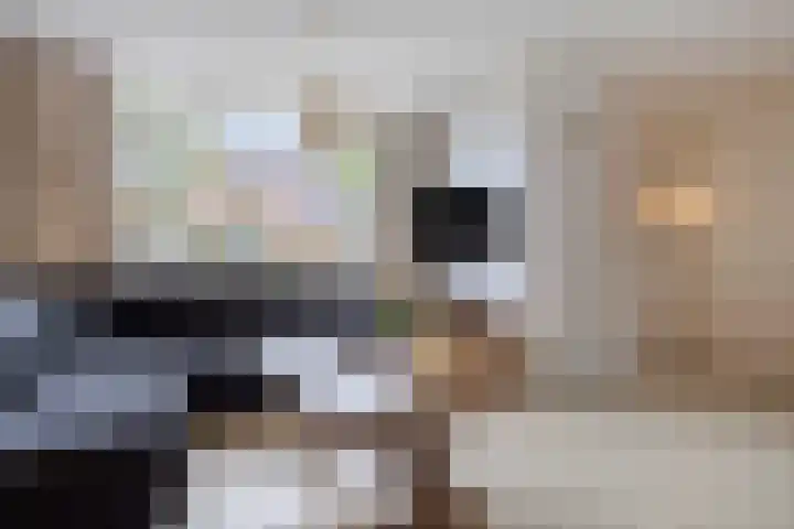 Staatsmanlaan 16 Zwolle thumbnail 9