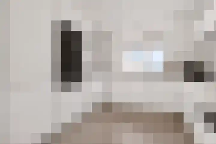 Staatsmanlaan 17 Zwolle thumbnail 11