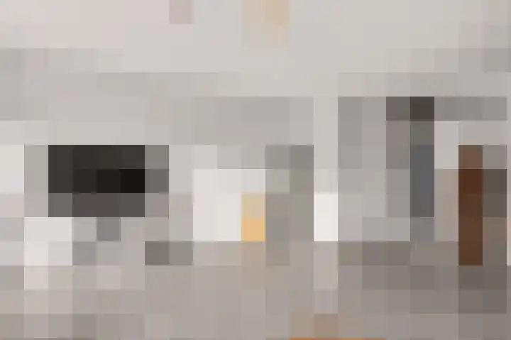 Staatsmanlaan 17 Zwolle thumbnail 17