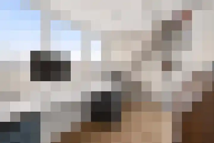 Staatsmanlaan 17 Zwolle thumbnail 23