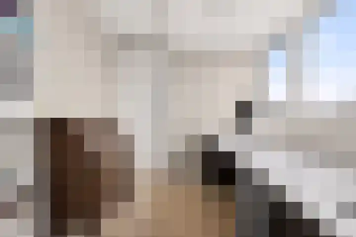 Staatsmanlaan 17 Zwolle thumbnail 24