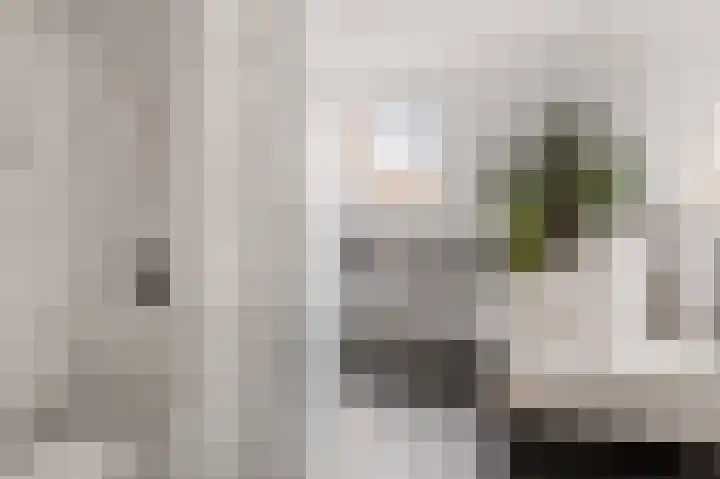 Staatsmanlaan 17 Zwolle thumbnail 25