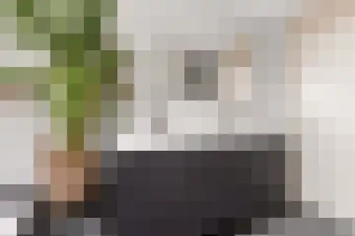 Staatsmanlaan 17 Zwolle thumbnail 26