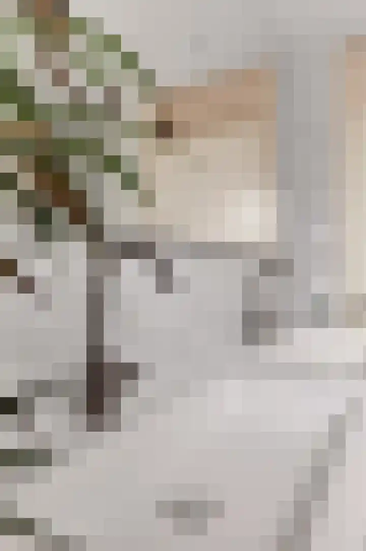 Staatsmanlaan 17 Zwolle thumbnail 30