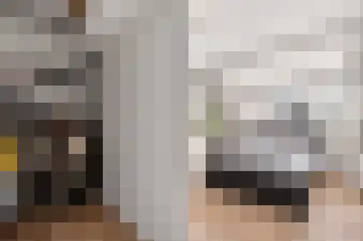Staatsmanlaan 17 Zwolle thumbnail 32