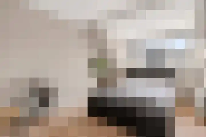 Staatsmanlaan 17 Zwolle thumbnail 33