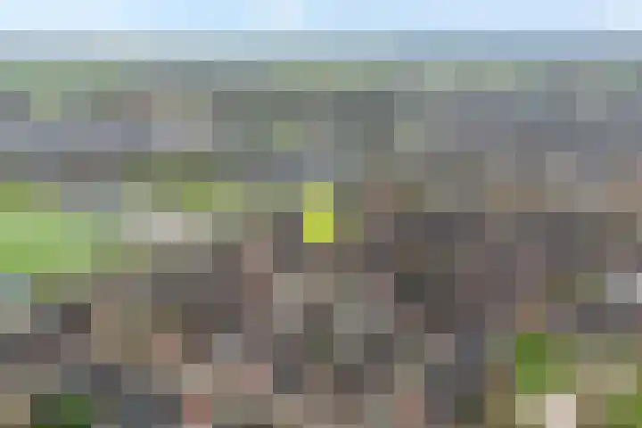 Staatsmanlaan 17 Zwolle thumbnail 4