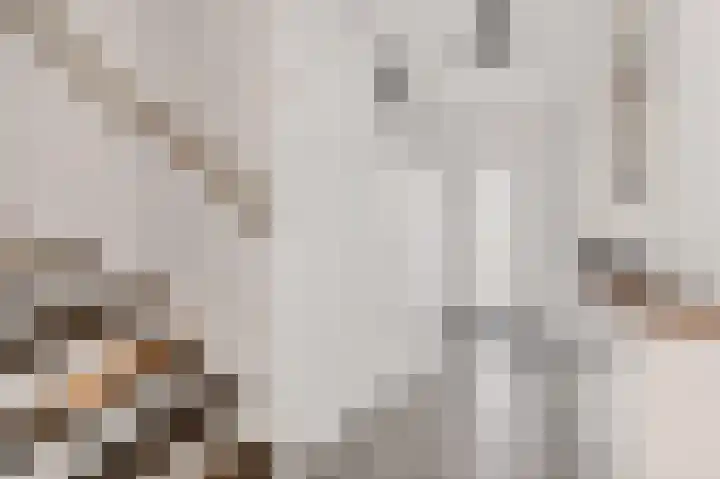 Staatsmanlaan 17 Zwolle thumbnail 5