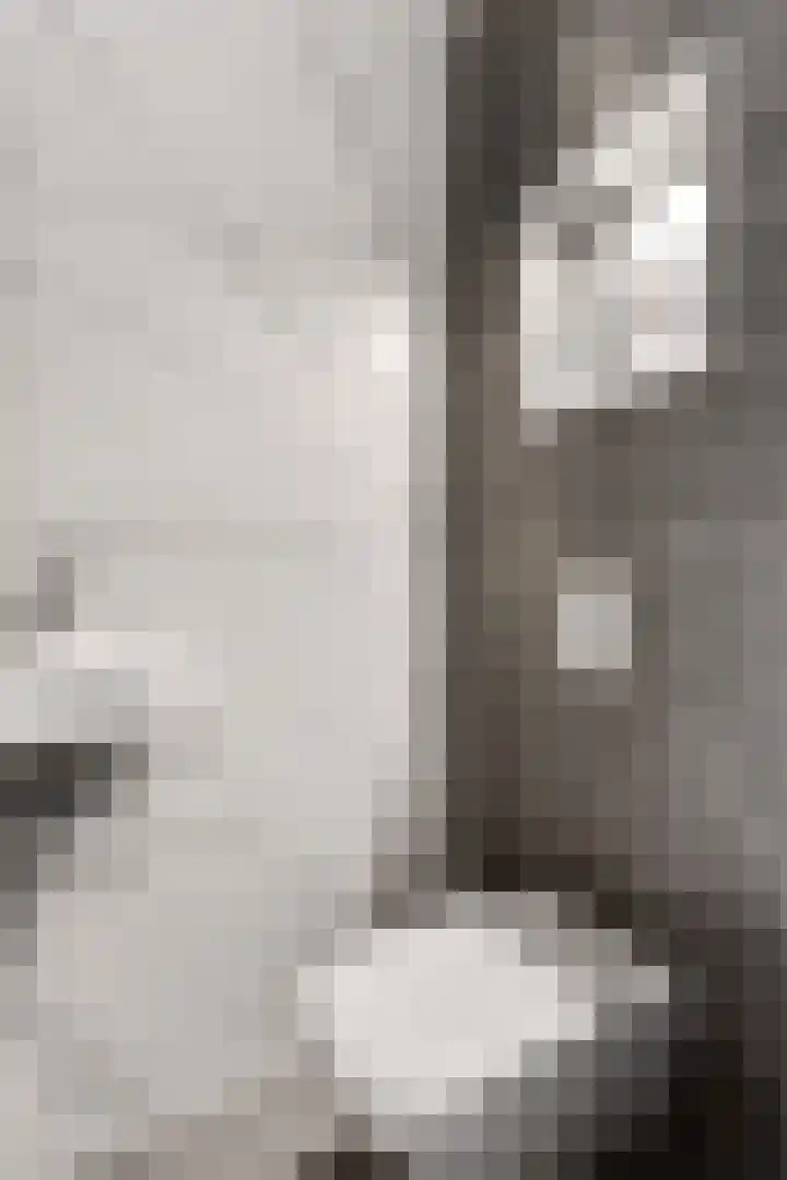 Staatsmanlaan 17 Zwolle thumbnail 6
