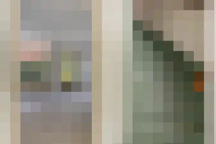 Staatsmanlaan 5 Zwolle thumbnail 15