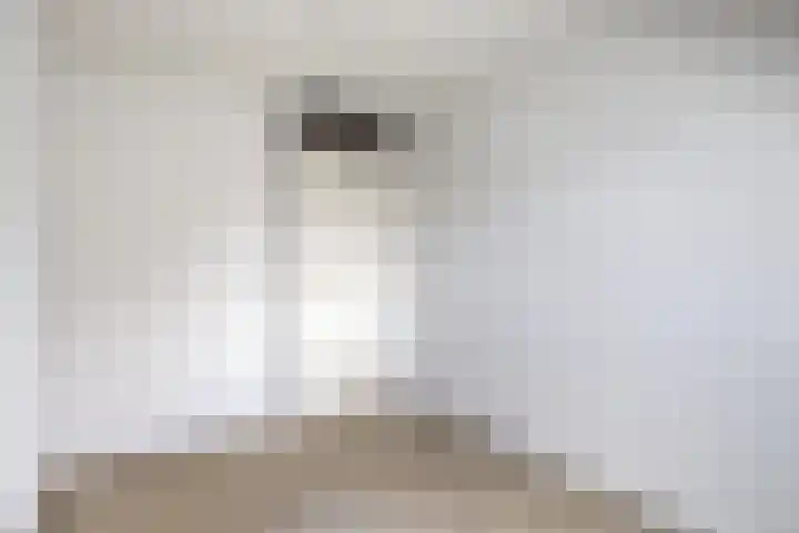 Staatsmanlaan 5 Zwolle thumbnail 18