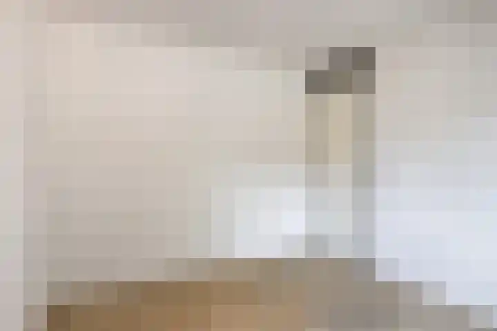 Staatsmanlaan 5 Zwolle thumbnail 22