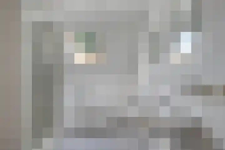 Staatsmanlaan 5 Zwolle thumbnail 23