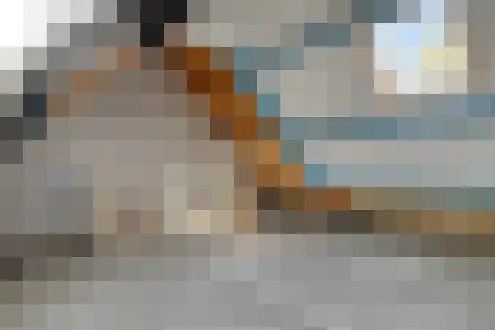 Staatsmanlaan 5 Zwolle thumbnail 28