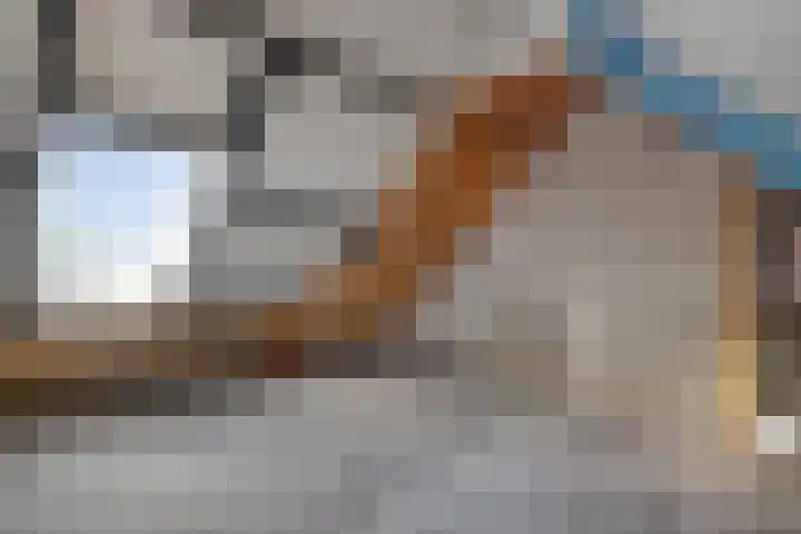 Staatsmanlaan 5 Zwolle thumbnail 29