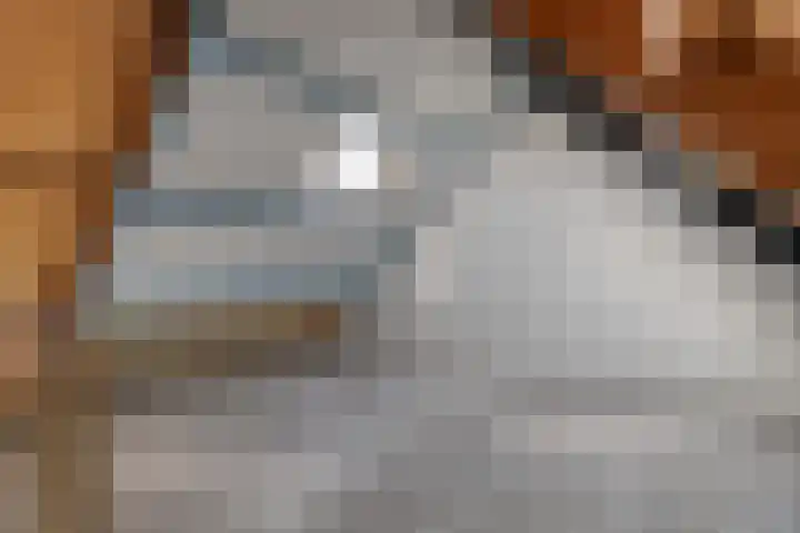 Staatsmanlaan 5 Zwolle thumbnail 30