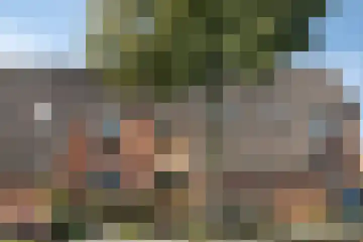 Staatsmanlaan 5 Zwolle thumbnail 36