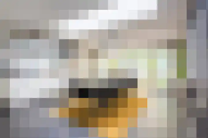 Staatsmijnstraat 59 Kerkrade thumbnail 5