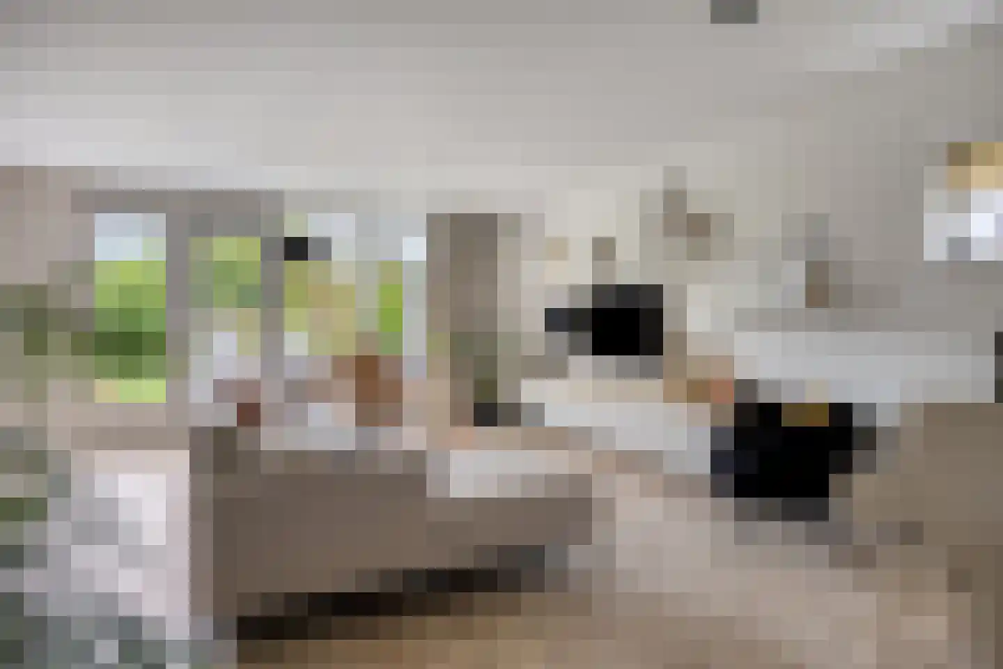 Staatssecretarislaan 144 Zwolle thumbnail 10