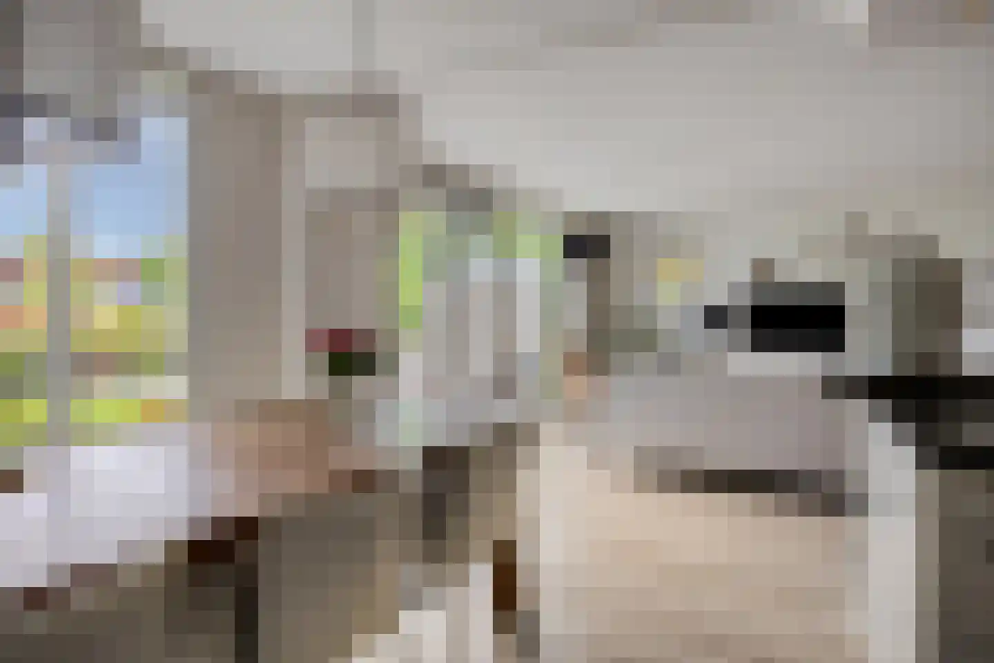 Staatssecretarislaan 144 Zwolle thumbnail 15