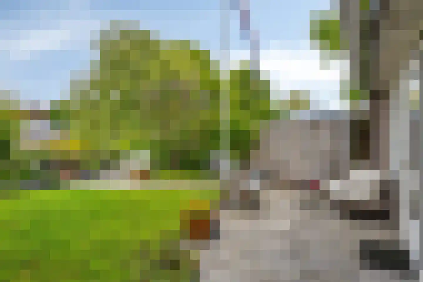 Staatssecretarislaan 144 Zwolle thumbnail 23