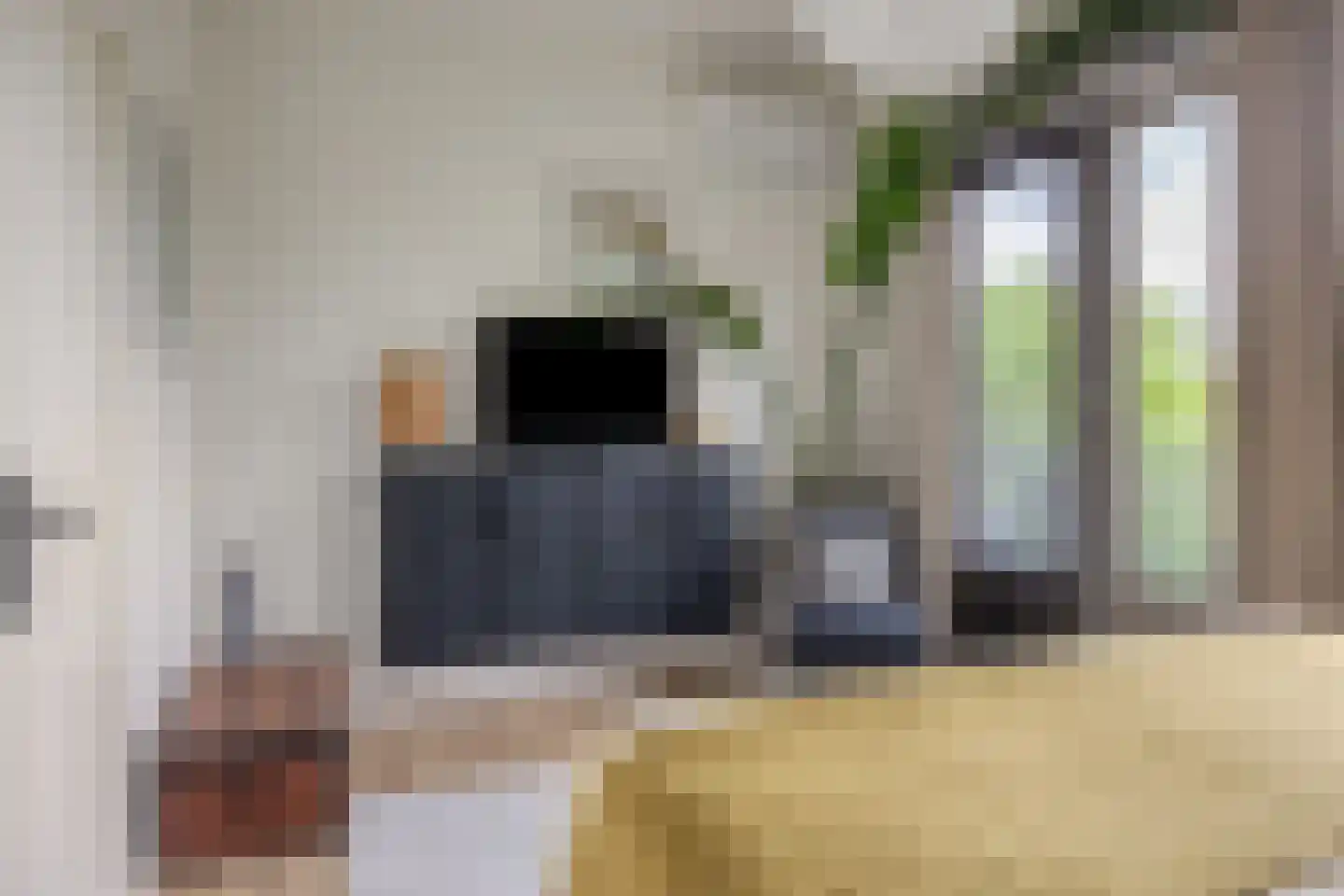 Staatssecretarislaan 144 Zwolle thumbnail 30