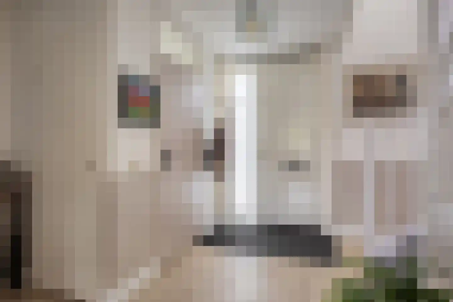 Staatssecretarislaan 144 Zwolle thumbnail 7