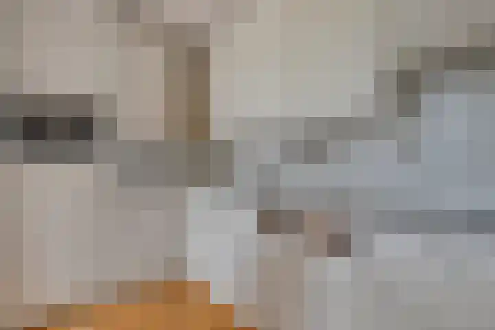 Staatssecretarislaan 148 Zwolle thumbnail 14