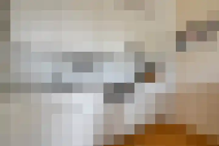 Staatssecretarislaan 148 Zwolle thumbnail 15