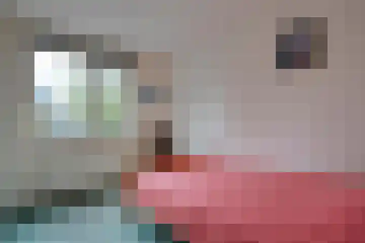 Staatssecretarislaan 148 Zwolle thumbnail 24