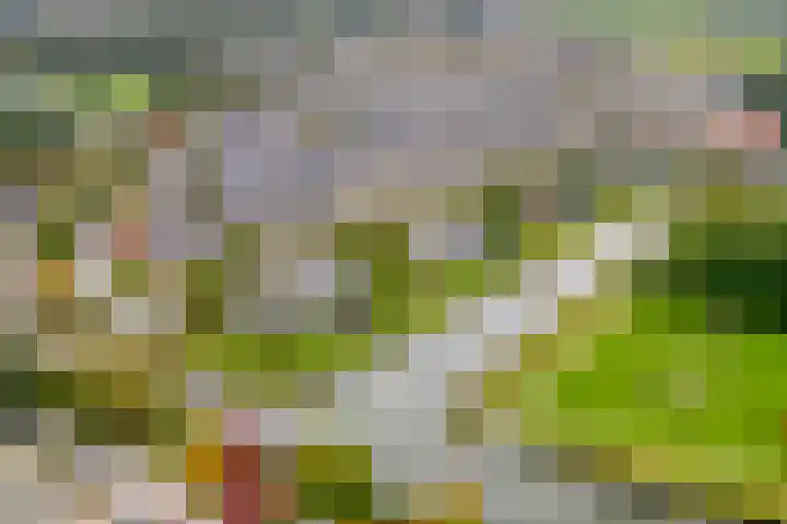 Staatssecretarislaan 148 Zwolle thumbnail 36