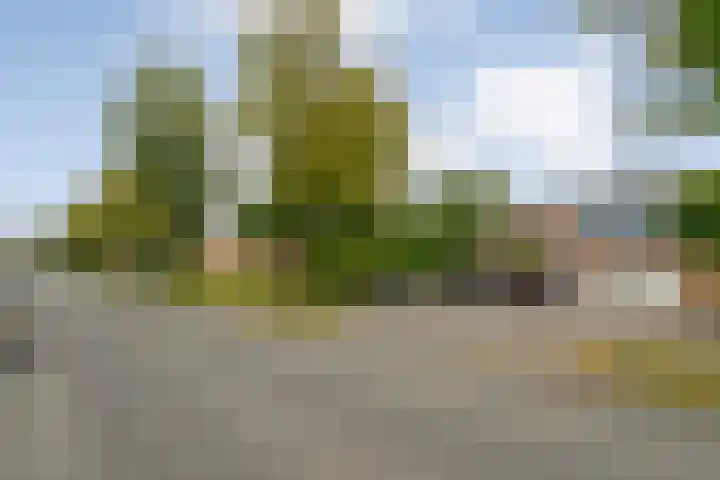 Staatssecretarislaan 148 Zwolle thumbnail 6