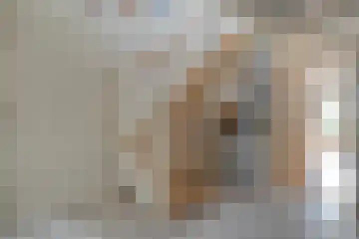 Staatssecretarislaan 148 Zwolle thumbnail 7