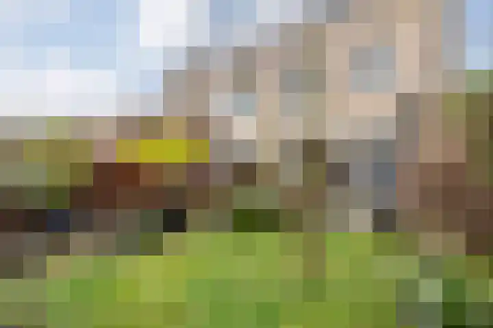 Staatssecretarislaan 61 Zwolle thumbnail 37