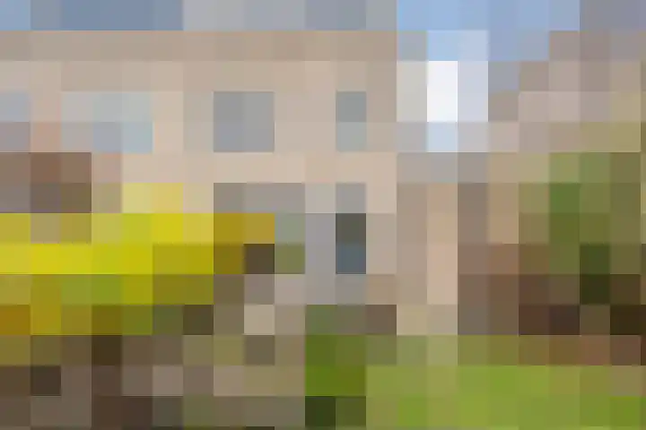 Staatssecretarislaan 61 Zwolle thumbnail 38