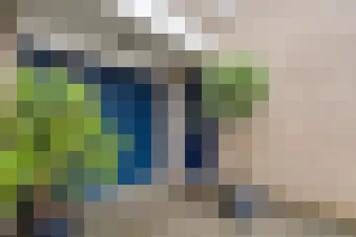 Staatssecretarislaan 61 Zwolle thumbnail 4