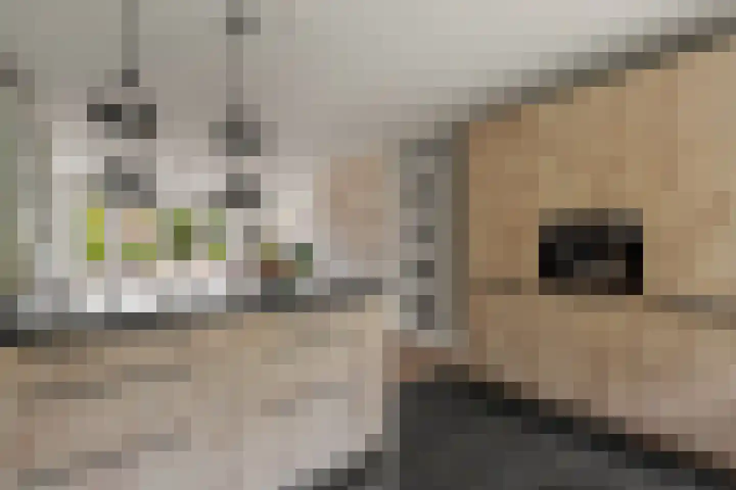 Staatsspoor 45 Houten thumbnail 12