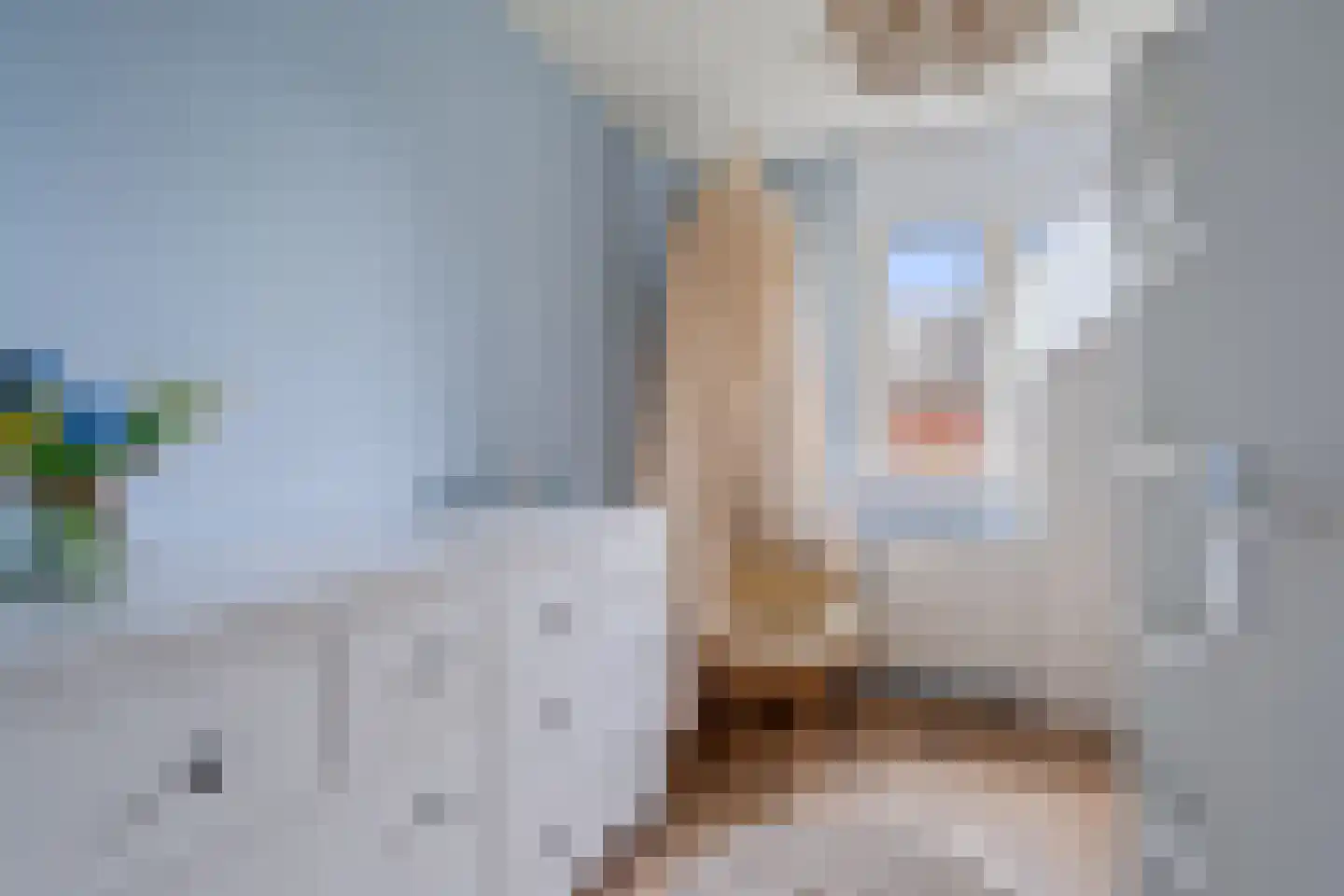 Staatsspoor 45 Houten thumbnail 33